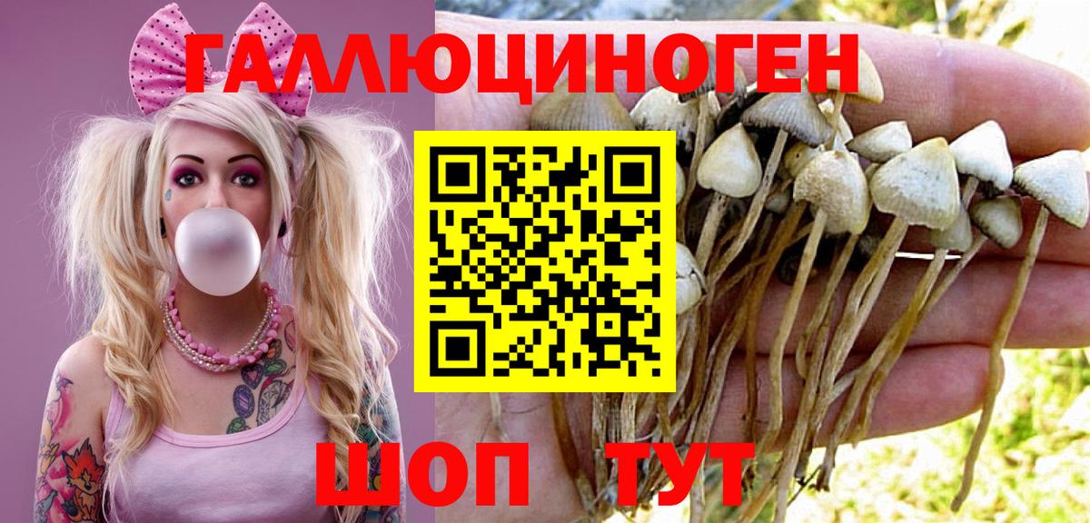 купить   Вход с VPN  Волжский  Галлюциногенные грибы мухоморы 