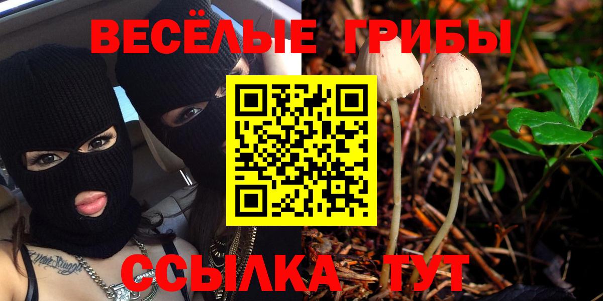 Галлюциногенные грибы Psilocybe Волжский